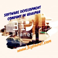 Software Development Company in Udaipur Software Developer in Udaipur